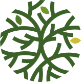 betula-logo